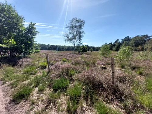 Nature Reserve Molenheide